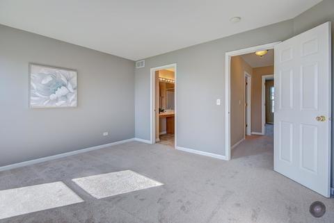 11401 Glenbrook Cir, Plainfield, IL 60585 photo 24