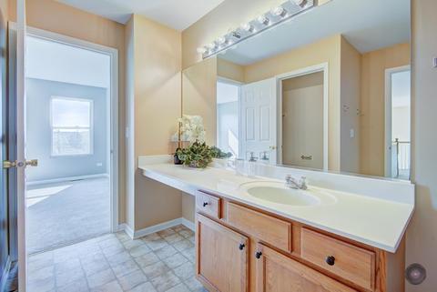 11401 Glenbrook Cir, Plainfield, IL 60585 photo 25