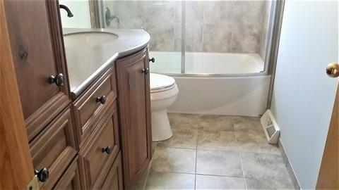 1019 Valewood Rd, Bartlett, IL 60103 photo 19