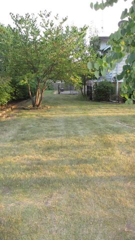 503 S 7th St, West Dundee, IL 60118 photo 8