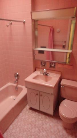 443 E 46th Pl, Chicago, IL 60653 photo 5