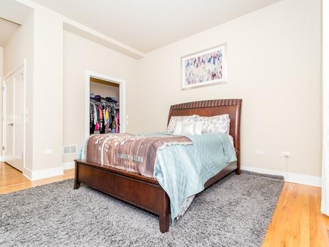 207 E 31st St #2A, Chicago, IL 60616 photo 10