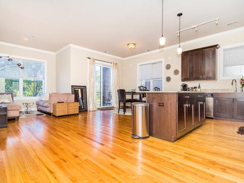 207 E 31st St #2A, Chicago, IL 60616 photo 3