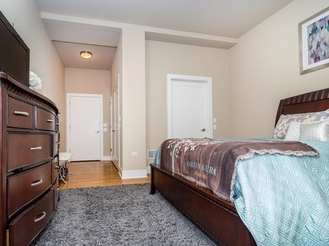 207 E 31st St #2A, Chicago, IL 60616 photo 9