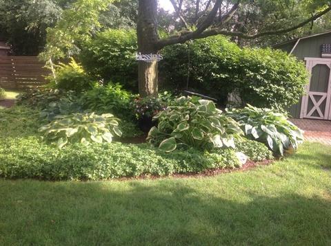 25 W707 Durfee Rd, Wheaton, IL 60189 photo 36