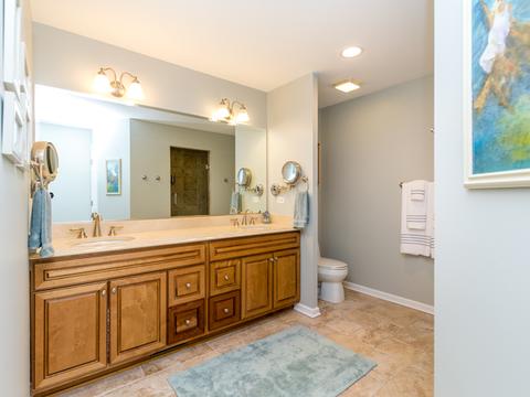 10 S461 Glenn Dr, Burr Ridge, IL 60527 photo 15