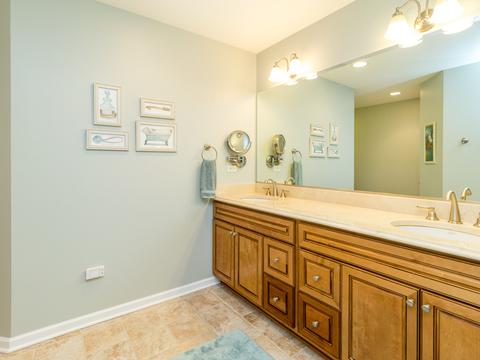 10 S461 Glenn Dr, Burr Ridge, IL 60527 photo 16