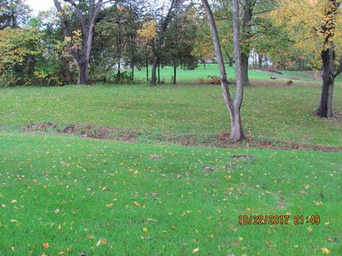 633 W River Dr, Seneca, IL 61360 photo 5