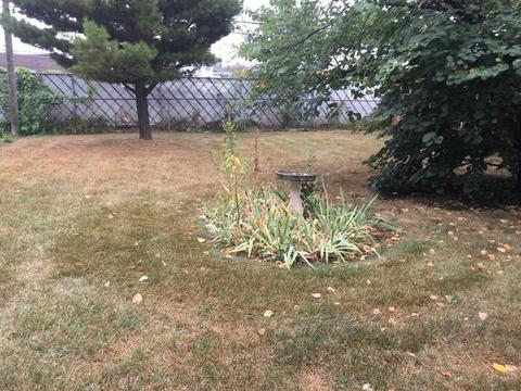 69 Dover Dr, Des Plaines, IL 60018 photo 7