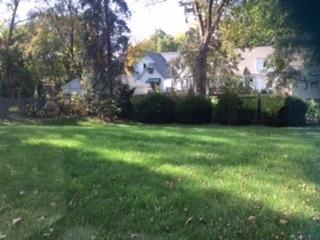 814 Cedar Ave, Elgin, IL 60120 photo 14