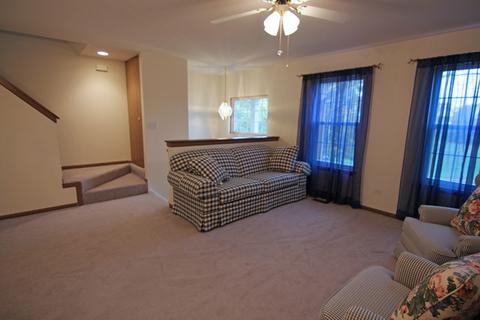 2833 N Augusta Dr, Wadsworth, IL 60083 photo 4