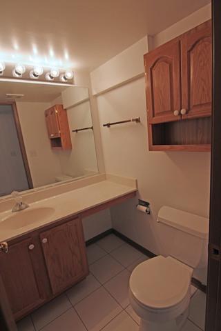 2833 N Augusta Dr, Wadsworth, IL 60083 photo 17