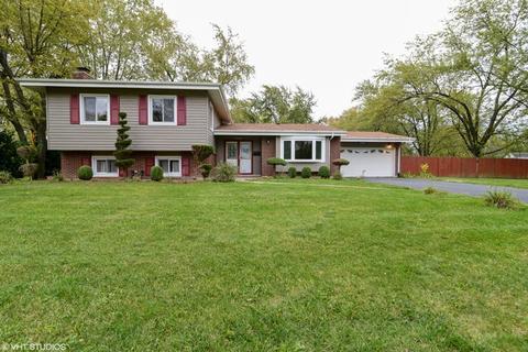 2660 Sparta Ct, Olympia Fields, IL 60461 photo 1