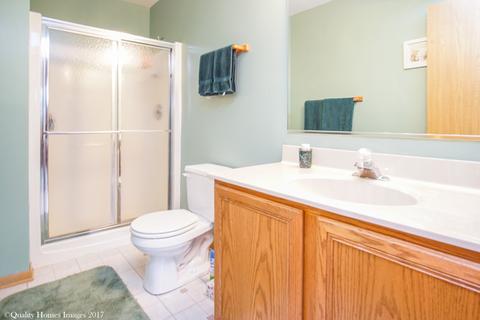 26148 S Plum Tree Ln, Monee, IL 60449 photo 19