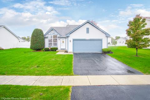 26148 S Plum Tree Ln, Monee, IL 60449 photo 1