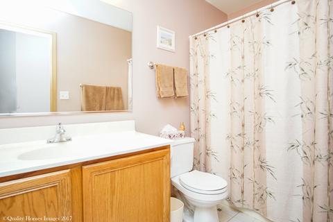 26148 S Plum Tree Ln, Monee, IL 60449 photo 16