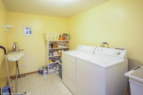 26148 S Plum Tree Ln, Monee, IL 60449 photo 17