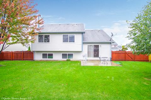 26148 S Plum Tree Ln, Monee, IL 60449 photo 23