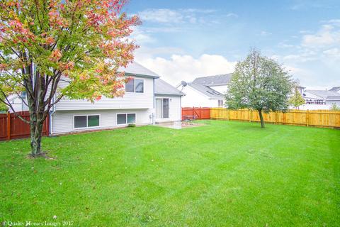 26148 S Plum Tree Ln, Monee, IL 60449 photo 25