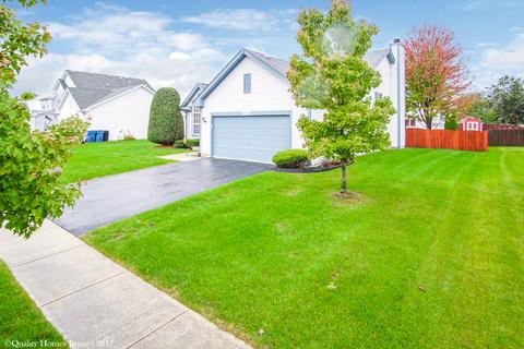 26148 S Plum Tree Ln, Monee, IL 60449 photo 3