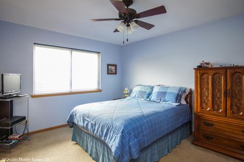 26148 S Plum Tree Ln, Monee, IL 60449 photo 18