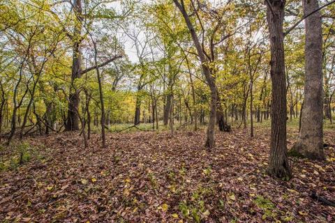 1650 E Chicago St, Elgin, IL 60120 photo 45