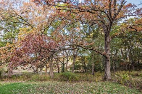 1650 E Chicago St, Elgin, IL 60120 photo 44