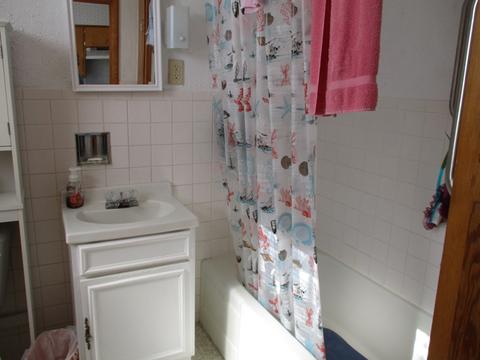 231 E Devlin St, Spring Valley, IL 61362 photo 9