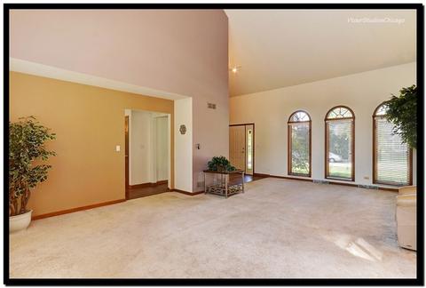 1119 Struckman Blvd, Bartlett, IL 60103 photo 5