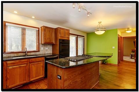 1119 Struckman Blvd, Bartlett, IL 60103 photo 7