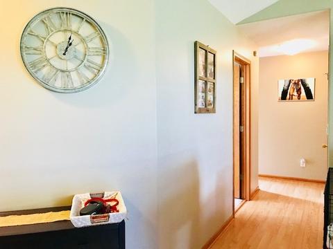 185 E Adams St, Manteno, IL 60950 photo 5
