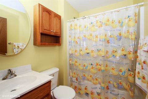 1313 7th St, Harvard, IL 60033 photo 13