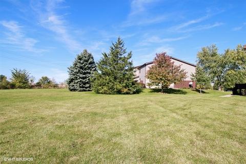 258 Circlegate Rd, New Lenox, IL 60451 photo 20