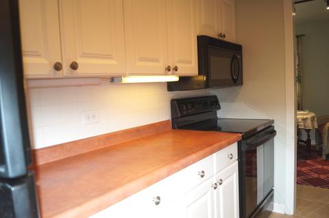 200 Deborah Ln #1A, Wheeling, IL 60090 photo 11