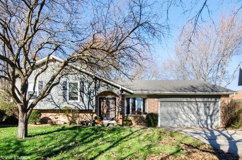 33 Lockman Cir, Elgin, IL 60123 photo 1