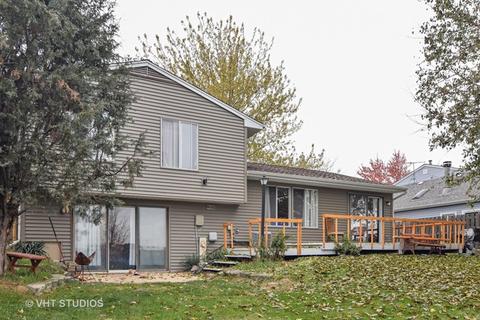 305 Windsor Dr, Roselle, IL 60172 photo 10