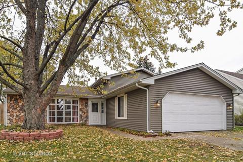 305 Windsor Dr, Roselle, IL 60172 photo 1