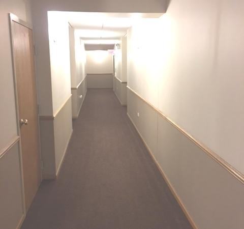 1327 E Washington St #306, Des Plaines, IL 60016 photo 2