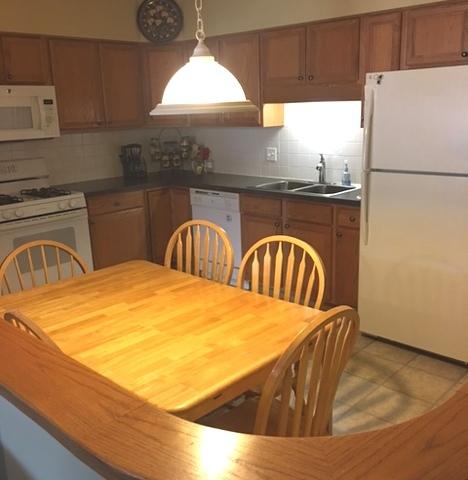 1327 E Washington St #306, Des Plaines, IL 60016 photo 17