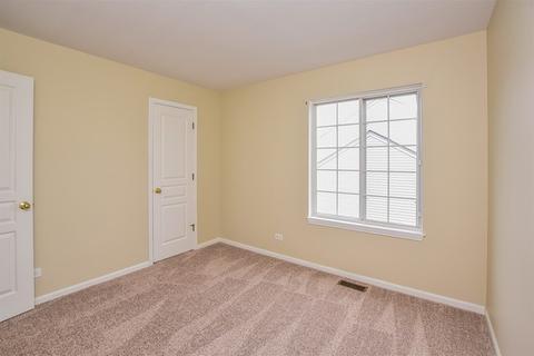 433 Monarch Birch Ln, Bartlett, IL 60103 photo 13