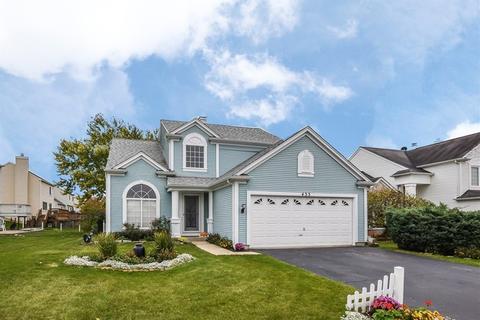 433 Monarch Birch Ln, Bartlett, IL 60103 photo 1
