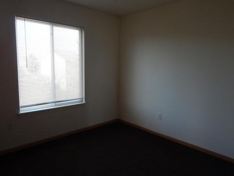 21340 Edison Ln, Plainfield, IL 60544 photo 22