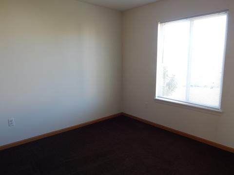 21340 Edison Ln, Plainfield, IL 60544 photo 21