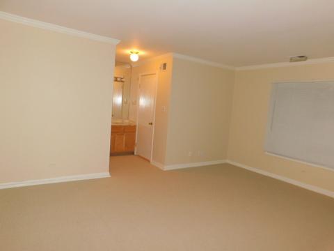 1500 Harbour Dr #1K, Wheeling, IL 60090 photo 10