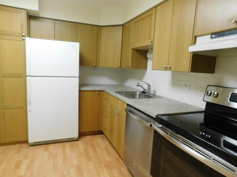 1500 Harbour Dr #1K, Wheeling, IL 60090 photo 5