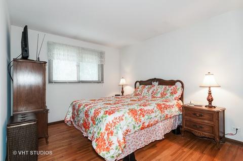 665 Juniper Ln, Bartlett, IL 60103 photo 4
