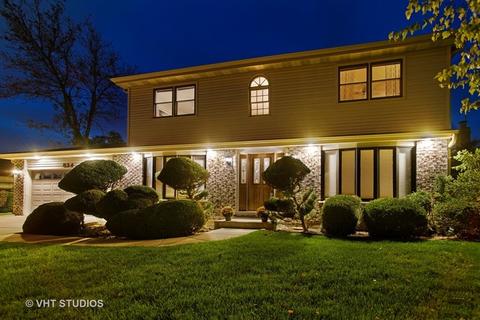 534 May St, Roselle, IL 60172 photo 16