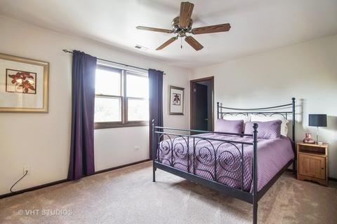 534 May St, Roselle, IL 60172 photo 11