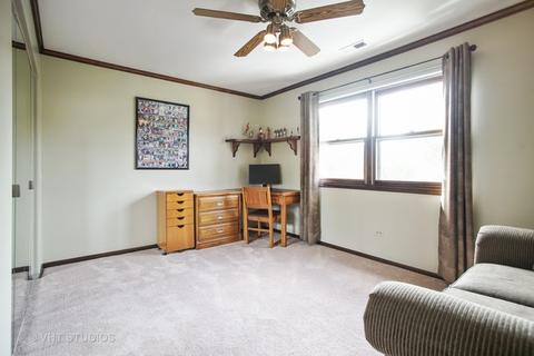 534 May St, Roselle, IL 60172 photo 12