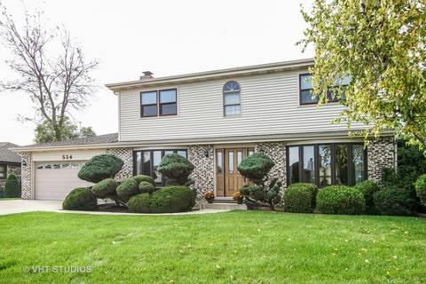 534 May St, Roselle, IL 60172 photo 1